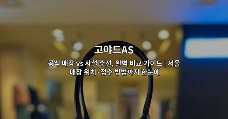 고야드AS 공식 매장 vs 사설 수선, 완벽 비교 가이드 | 서울 매장 위치·접수 방법까지 한눈에